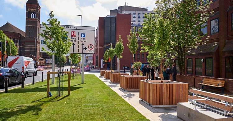 Clarendon Road Path Improvements